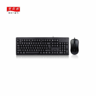 双飞燕（A4TECH) WKM-1000 有线鼠标键盘套装